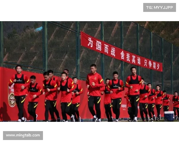 巴西青年联赛：探索新一代球员在国际赛事中的成长与挑战